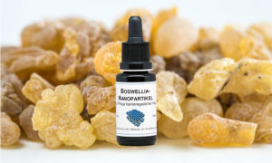 Boswellia Nanopartikel 20ml